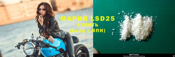 PSILOCYBIN Магас