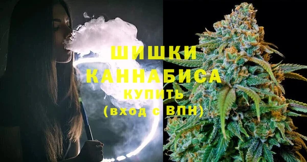 PSILOCYBIN Магас