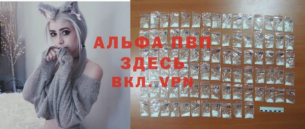 PSILOCYBIN Магас