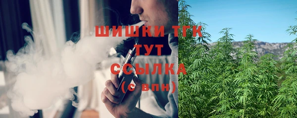 PSILOCYBIN Магас