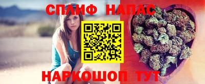 спиды Краснодар