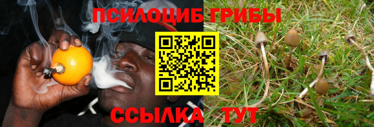 Псилоцибиновые грибы ЛСД  Вход с VPN  Псилоцибиновые грибы Psilocybe  Новороссийск 
